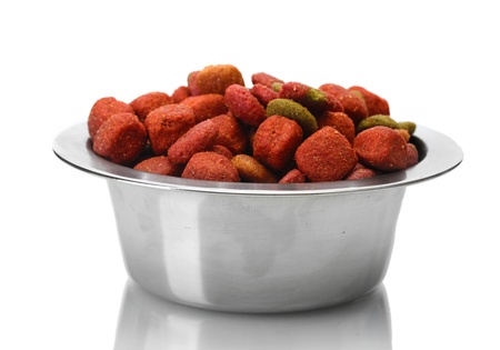 dry dog food in metal bowl isolated on white