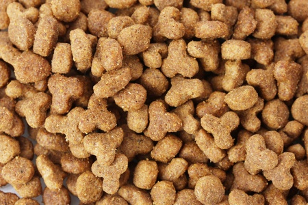 background of dry cat food