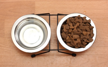 dry dog food and water in metal bowls on the floor