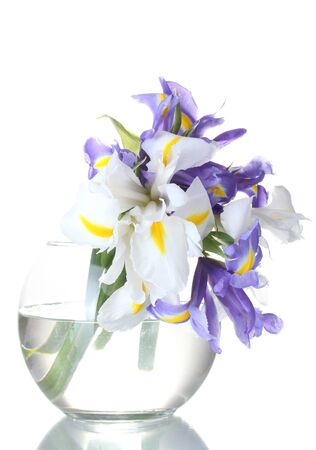 Beautiful bright irises in vase isolated on whiteの写真素材