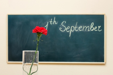 The date on the blackboard. First of September. A red carnationの写真素材