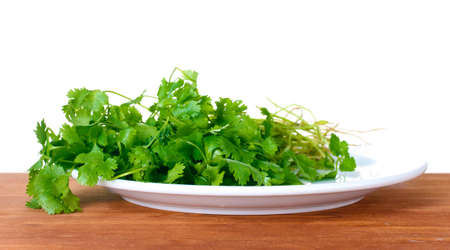 Coriander in a white plate on woodenの写真素材