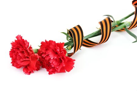 carnations and St. George's ribbon isolated on whiteの写真素材