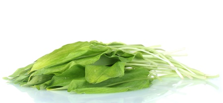 ramson isolated on white