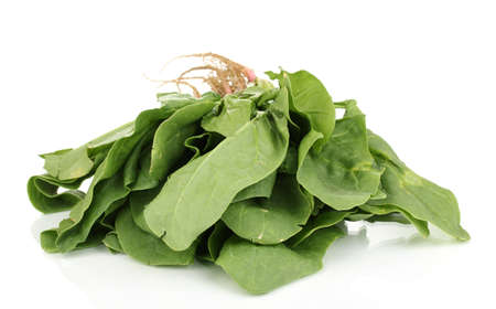 Fresh spinach isolated on white