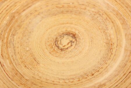 Wooden backgroundの写真素材