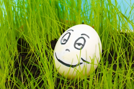 White egg with funny face in green grass