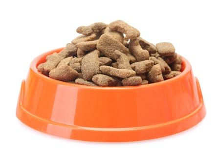 dry dog food in orange bowl  isolated on whiteの写真素材
