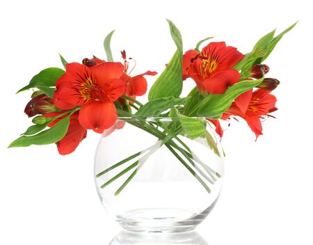 Alstroemeria in vase isolated on whiteの写真素材