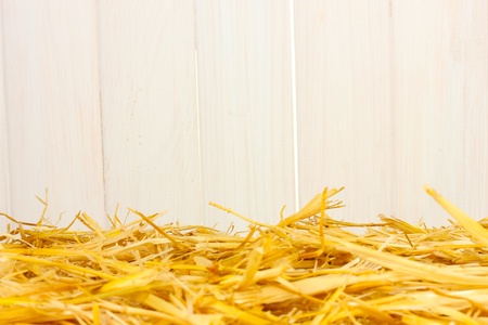 The golden straw against the white barn