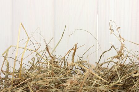 The golden hay against the white barn close-upの写真素材