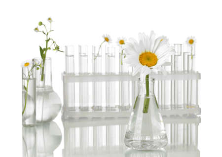 Test-tubes with a transparent solution and the plant isolated on white background close-upの写真素材