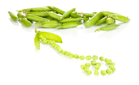 Green peas isolated on whiteの写真素材