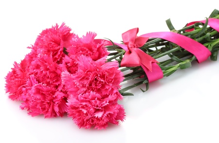 Beautiful pink carnations isolated on whiteの写真素材