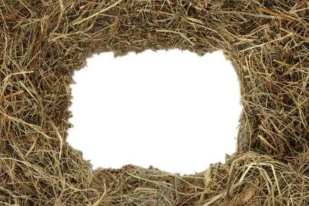 The frame of golden hay on white backgroundの写真素材