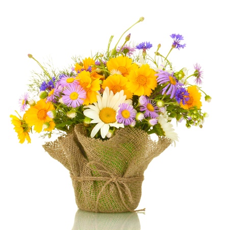 beautiful bouquet of bright wildflowers in flowerpot, isolated on white beautiful bouquet of bright wildflowers in flowerpot, isolated on white