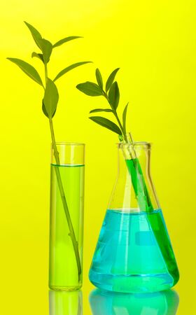 test-tubes with a colorful solution and plant on yellow background close-upの写真素材