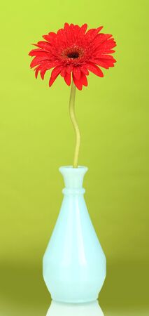 Beautiful red gerbera in vase on green background close-upの写真素材