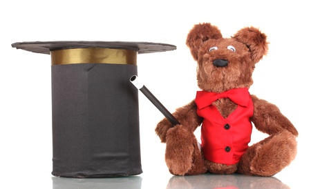 Bear and black cylinder isolated on whiteの写真素材