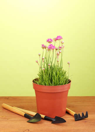 Businessman hand put coins isolated on whiteの写真素材