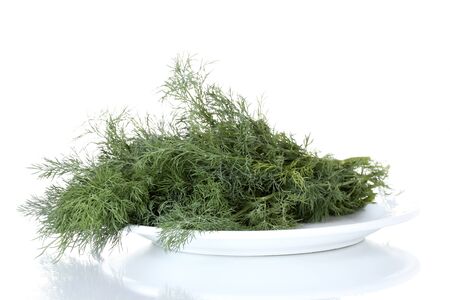 Dill in a white plate isolated on whiteの写真素材