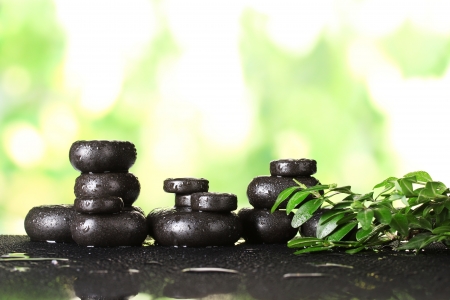 Composition of spa stones and greenery on bright green backgroundの写真素材