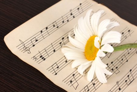 Musical notes and flower on wooden tableの写真素材