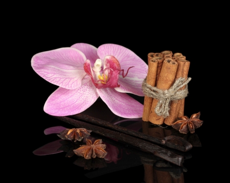 Vanilla pods with spices isolated on blackの写真素材