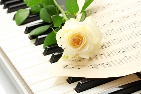 background of piano keyboard with roseの写真素材