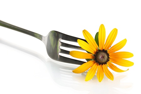 fork and flower, isolated on whiteの写真素材