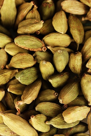 green cardamom close-upの写真素材