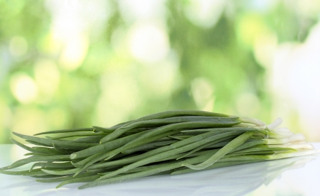 Green onion on green backgroundの写真素材