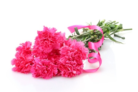 Beautiful pink carnations isolated on whiteの写真素材