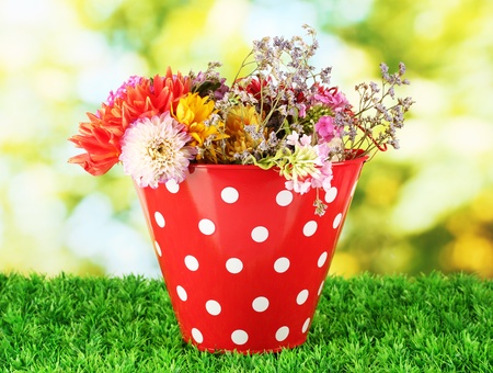 Red bucket with white polka-dot with flowers on green backgroundの写真素材