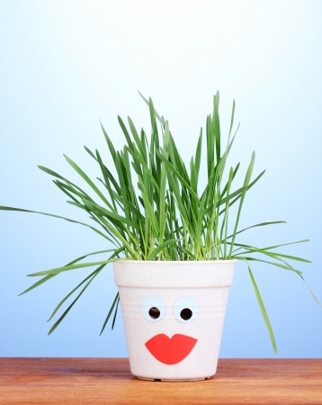 A pot of grass on blue backgroundの写真素材