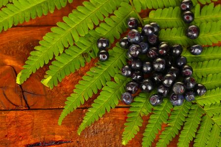 Blueberries on fern on wooden background close-upの写真素材