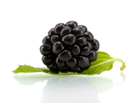 beautiful blackberry with leaf isolated on white