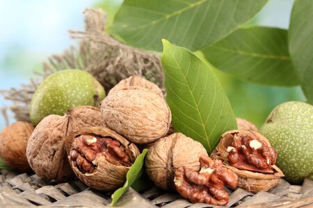 walnuts with green leaves in garden, on green backgroundの写真素材