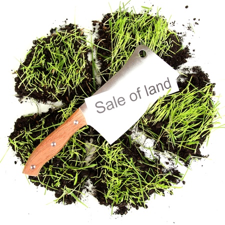Green grass with ground as concept of land sale isolated on whiteの写真素材