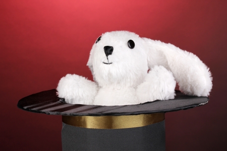 Bunny and black cylinder on red background
の写真素材