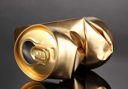 crumpled empty can on grey background
の写真素材