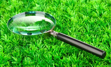 magnifying glass on green grassの写真素材
