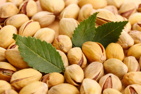 tasty pistachio nuts with leaves, close up