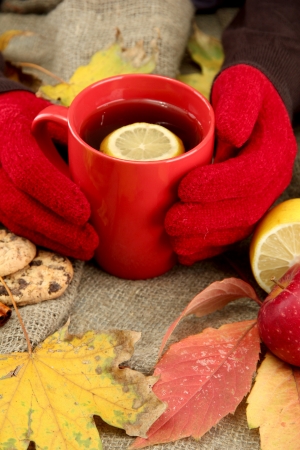 hands holding cup of hot drink and autumn leaves, on burlap backgroundの写真素材