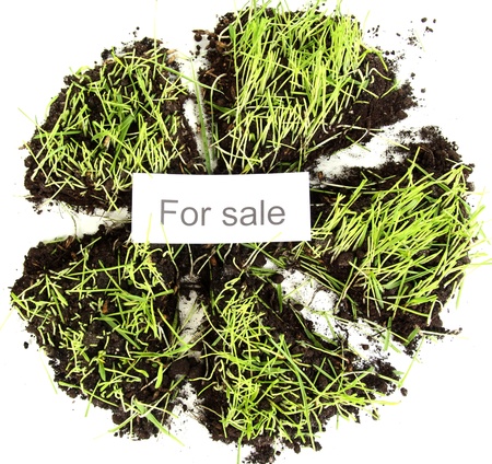 Green grass with ground as concept of land sale isolated on whiteの写真素材
