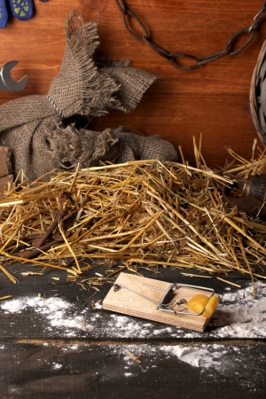 Mousetrap with a piece of cheese in barn on wooden backgroundの写真素材
