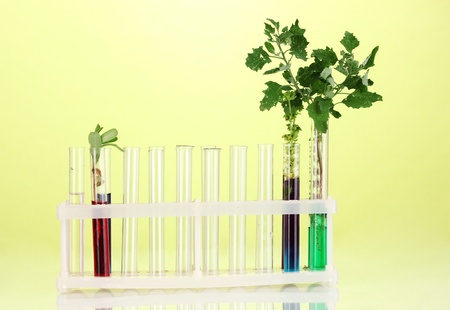 Test-tubes with a colorful solution and the plant on green background close-upの写真素材