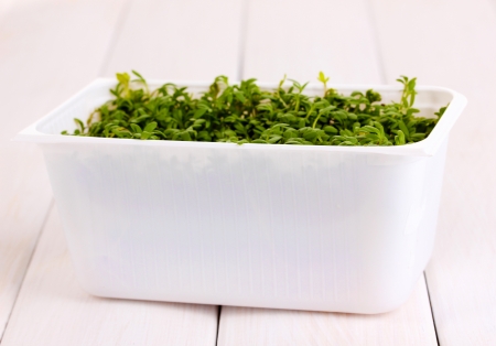 Fresh garden cress in white plastic box on wooden tableの写真素材