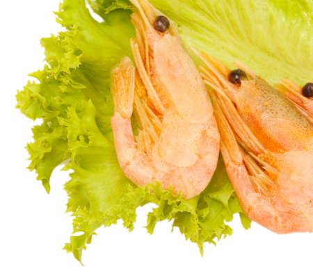 Boiled shrimps on lettuce leaves, isolated on whiteの写真素材
