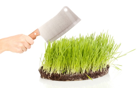 Green grass with ground as concept of land sale isolated on whiteの写真素材